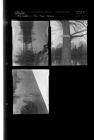Tar River Feature (3 Negatives) 1950s, undated [Sleeve 6, Folder c, Box 22]